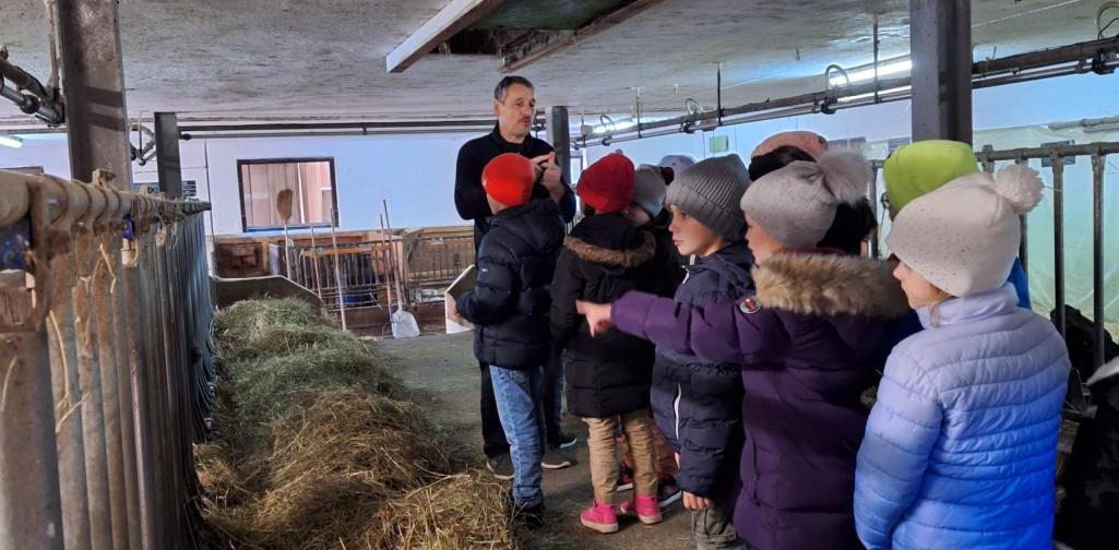 Bauernhof 08 Kinder besichten einen Stall