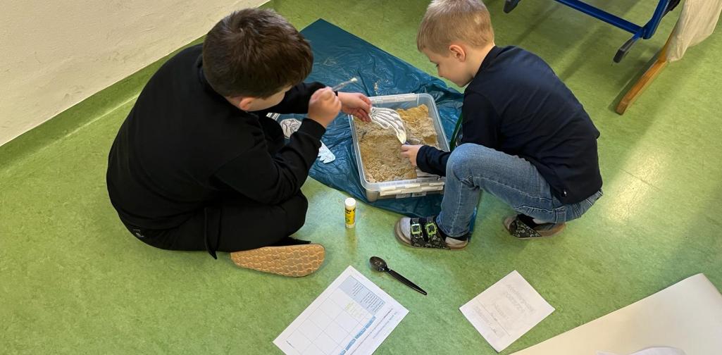 Ausgrabung Dinosaurier 3