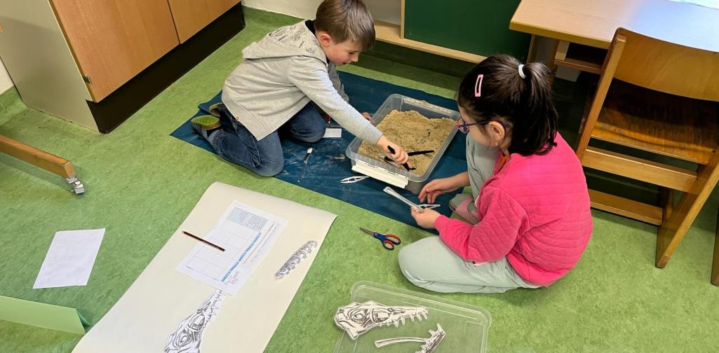 Ausgrabung Dinosaurier 2