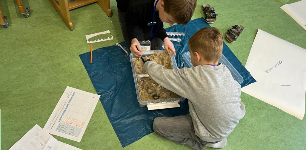 Ausgrabung Dinosaurier 1