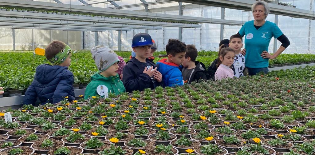 Besuch in der Gärtnerei