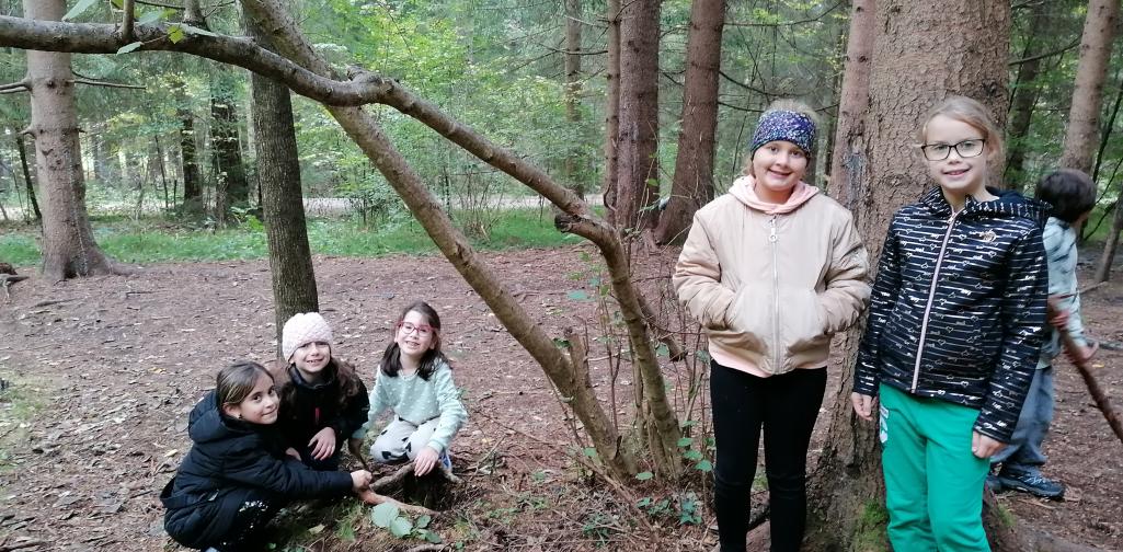 Wald 6 Gruppenfoto im Wald