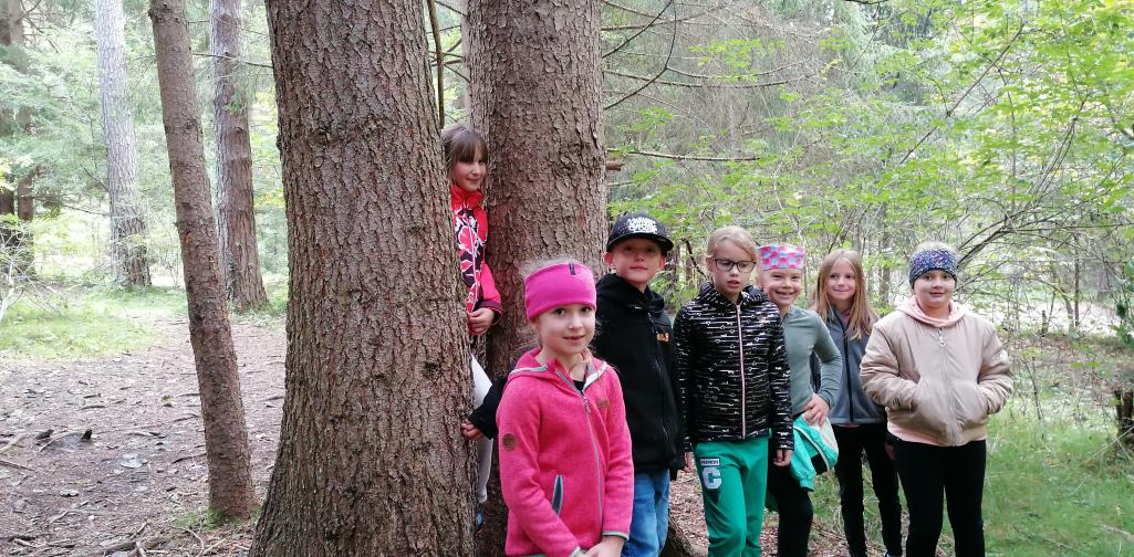 Wald 7 Gruppenfoto im Wald