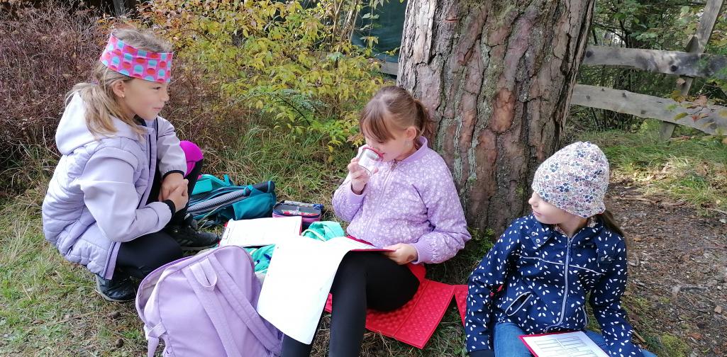 Wald 2 Kinder beim Arbeiten