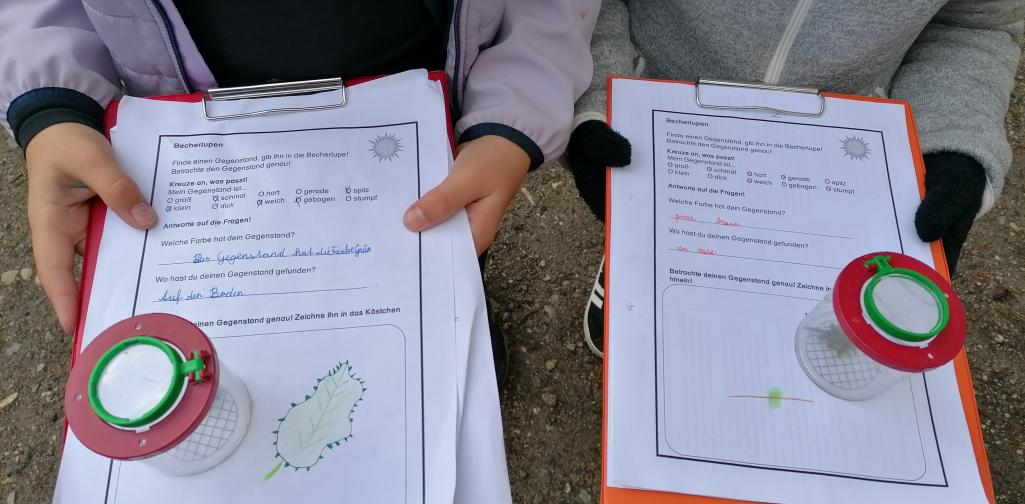 Wald 3 Klemmbrett und Becherlupe