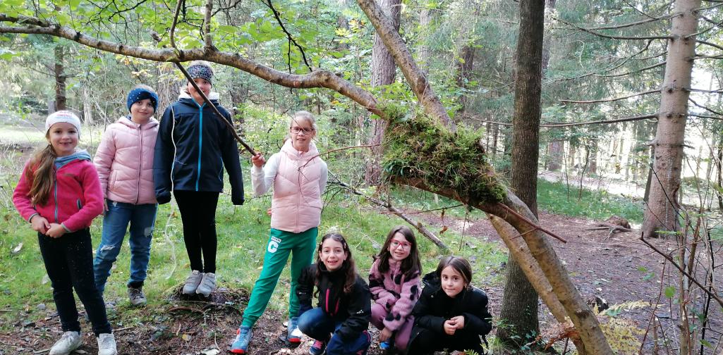 Wald 5 Gruppenfoto im Wald