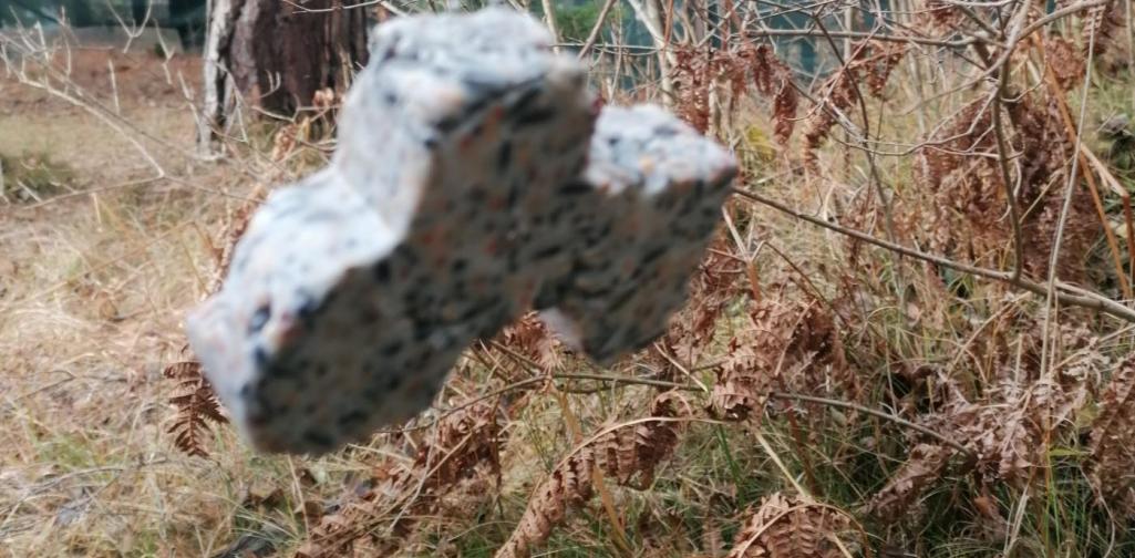 3c_Waldweihnacht 04 Meisenring