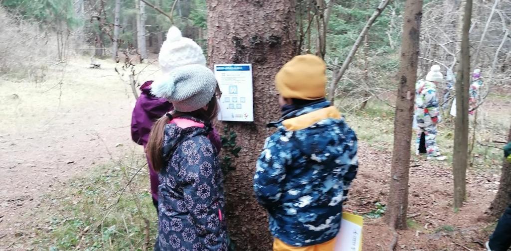 3c_Waldweihnacht 05 Kinder lösen in der Gruppe ein weihnatliches Rätsel