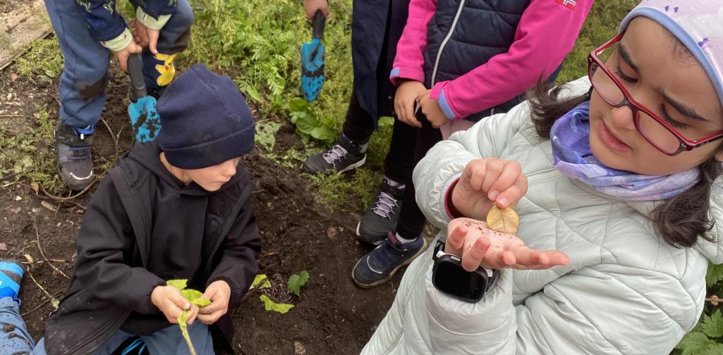 Die Kinder untersuchen die Tiere in der Erde.