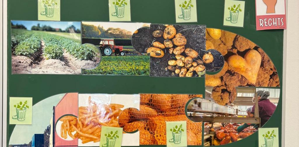 Der Weg einer Kartoffel