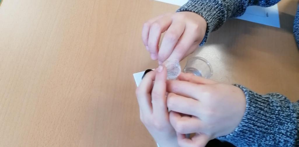 Netz über Reagenzglas