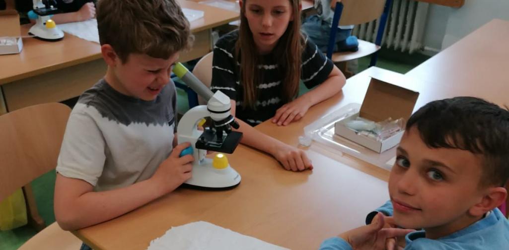 Kinder sitzen um das Mikroskop