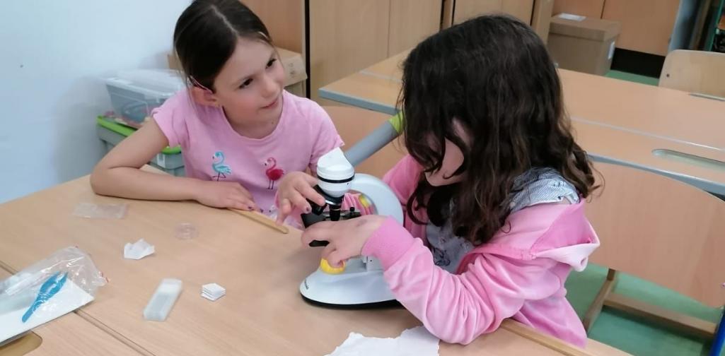 Kinder beim Mikroskopieren