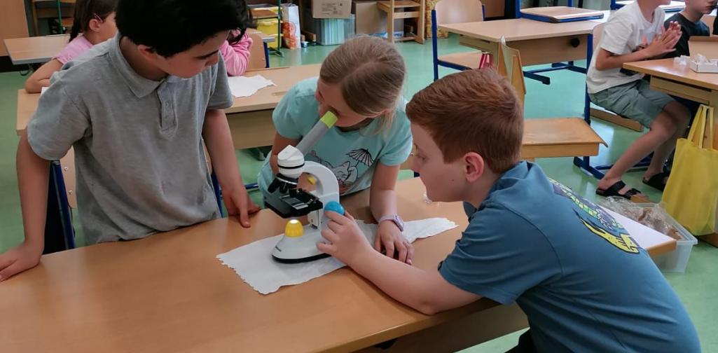 Kinder beim Mikroskopieren