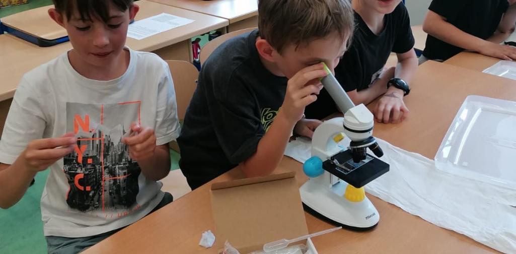 Kinder schauen ins Mikroskop