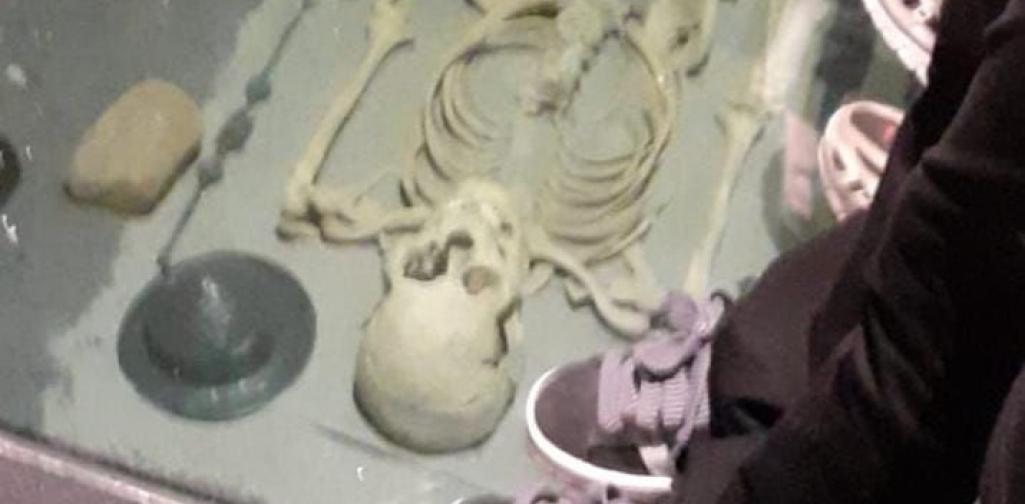 Ein Skelett unter einem Glas