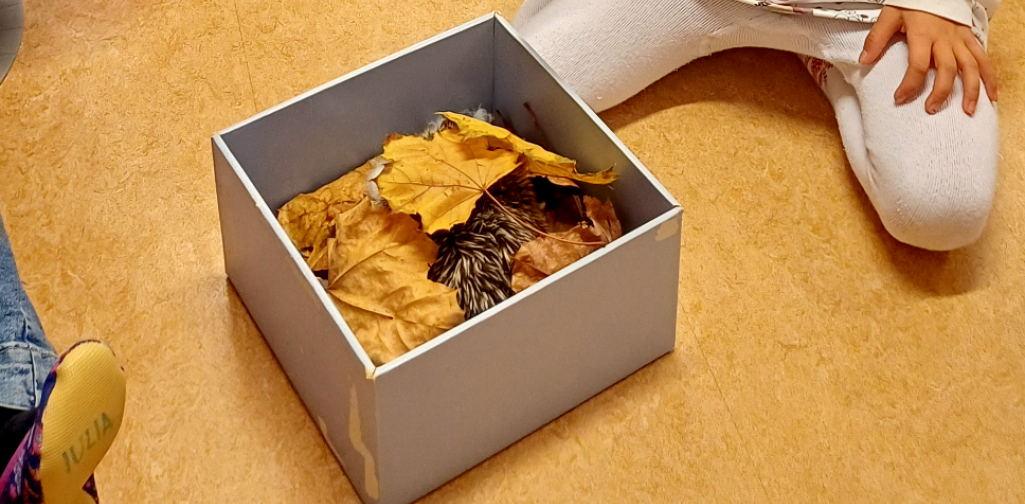 Wir verabschieden Igel Igor in den Winterschlaf