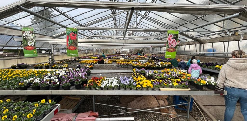 Kinder begutachten die Gärtnerei