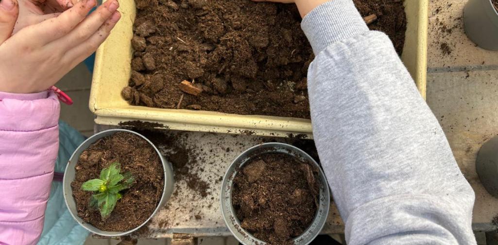 Kinder beim Einsetzen der Pflanzen