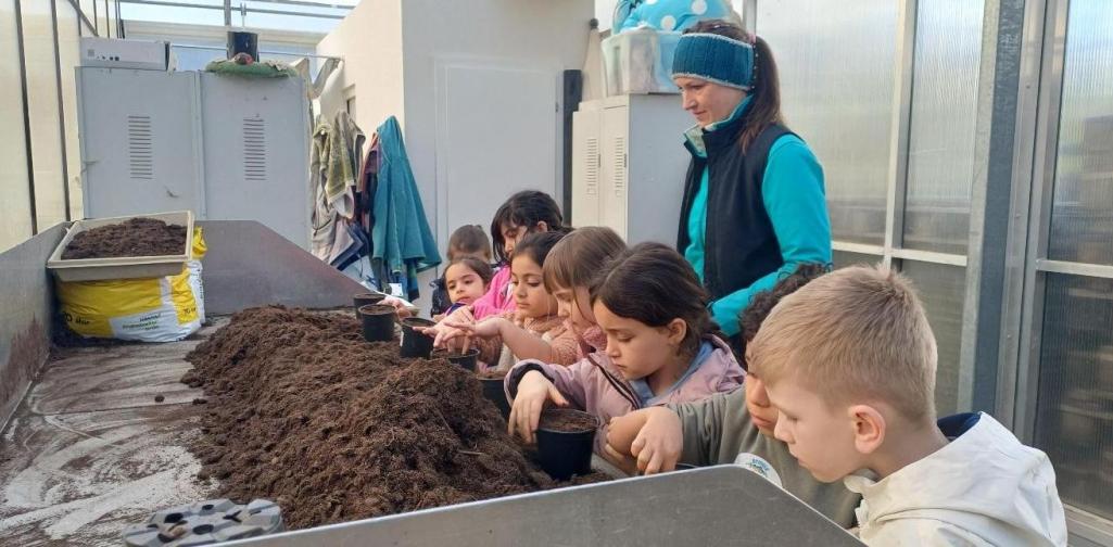 Beim Pflanzen setzen