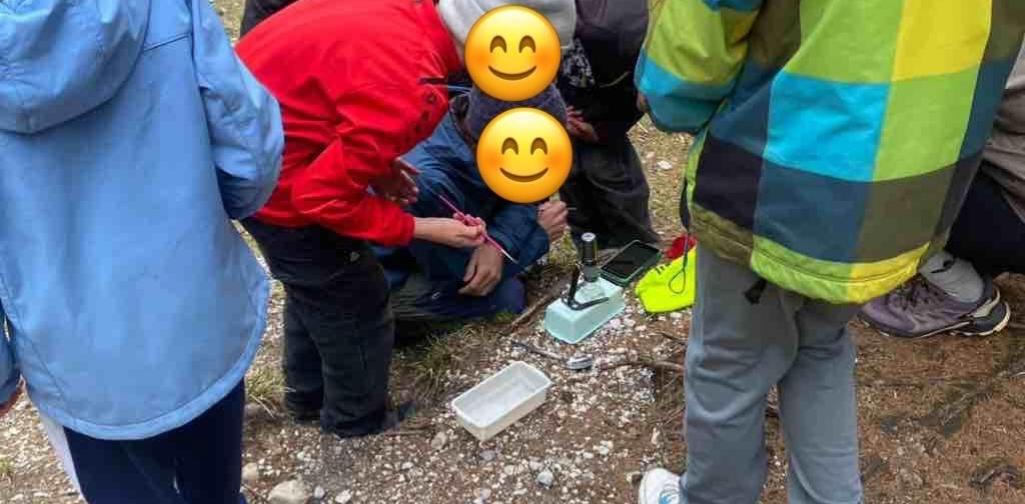Kinder beim Entdecken
