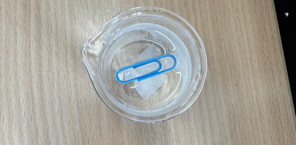 Büroklammer schwimmt