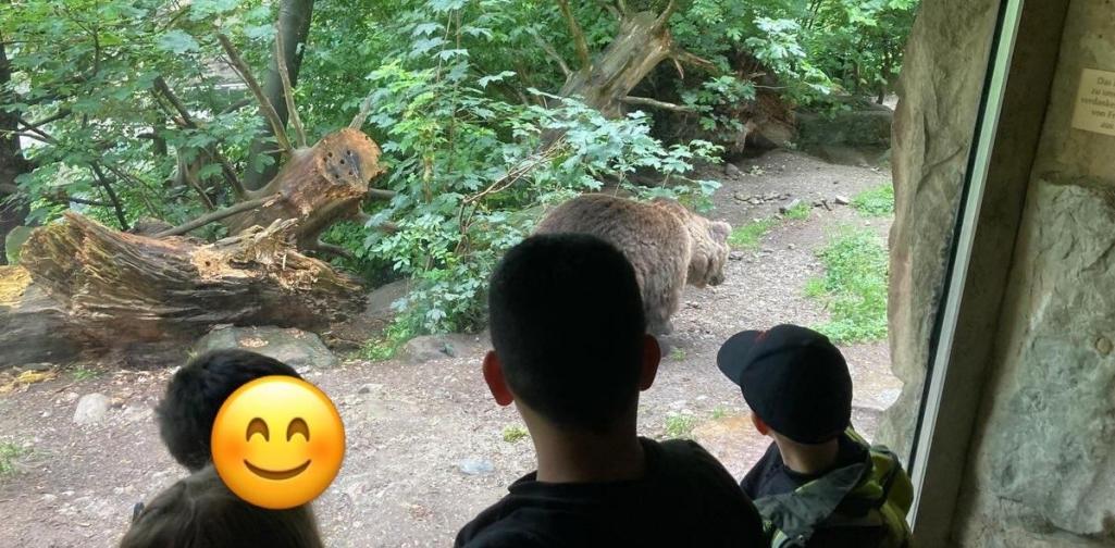 Kinder schauen dem Bären zu