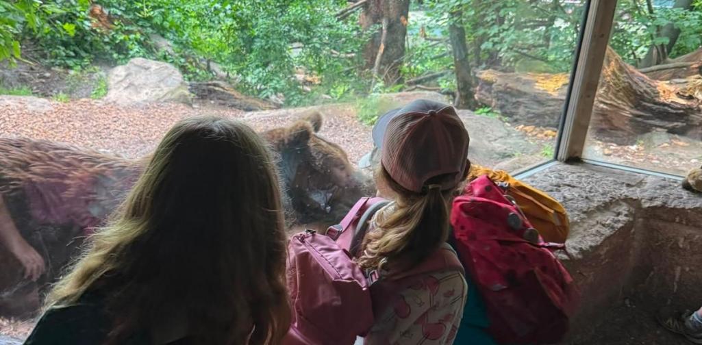Kinder beim Bär